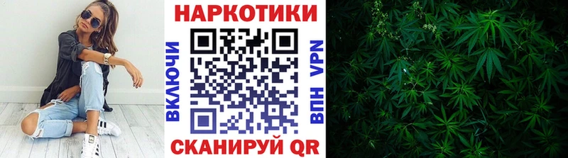 Где найти наркотики Приморск Гашиш  КОКАИН  Alpha-PVP  МАРИХУАНА  МЕФ 