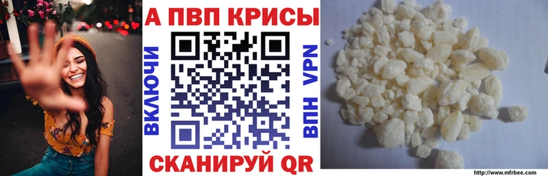 A-PVP СК  Приморск 