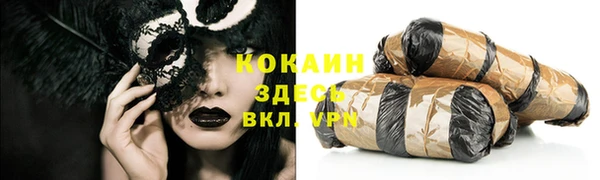 гашик Нея