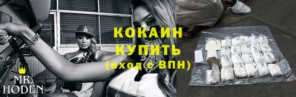 гашик Нея