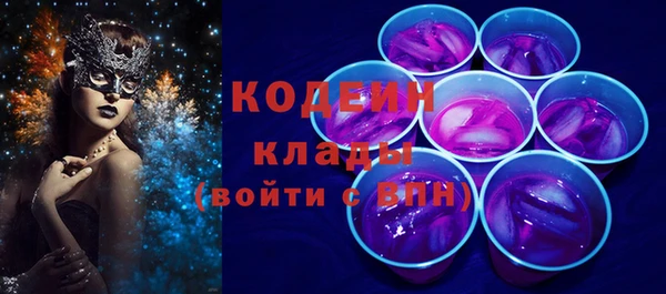 гашик Нея