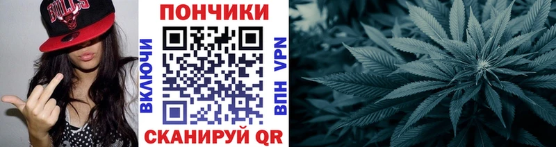 цены наркотик  Приморск  Марихуана OG Kush 